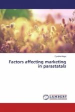 Factors affecting marketing in parastatals