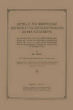 Beitr ge Zur Morphologie Der Weiblichen Geschlechtsorgane Bei Den S ugetieren