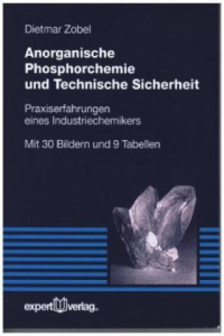 Anorganische Phosphorchemie und Technische Sicherheit