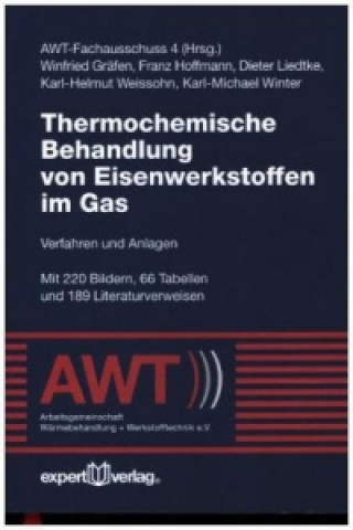 Thermochemische Behandlung von Eisenwerkstoffen im Gas