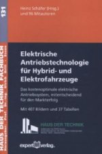 Elektrische Antriebstechnologie für Hybrid- und Elektrofahrzeuge