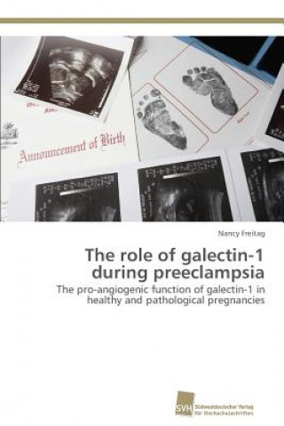role of galectin-1 during preeclampsia