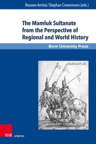Mamluk Sultanate from the Perspective of Regional and World History