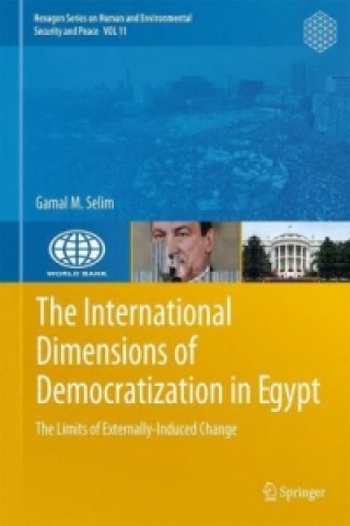 International Dimensions of Democratization in Egypt