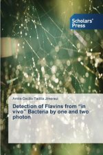 Detection of Flavins from in vivo Bacteria by one and two photon