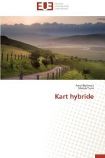 Kart Hybride