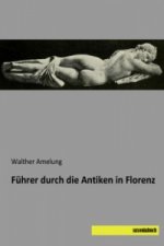 Führer durch die Antiken in Florenz