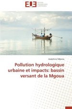 Pollution Hydrologique Urbaine Et Impacts