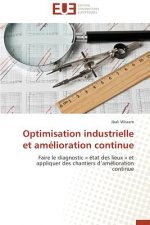 Optimisation industrielle et amelioration continue
