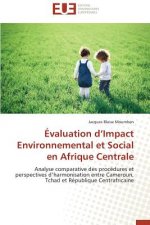 valuation D Impact Environnemental Et Social En Afrique Centrale