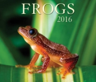 Frogs 2016 Calendar