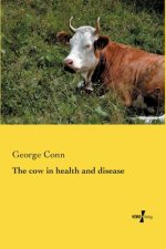 cow in health and disease