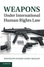 Weapons under International Human Rights Law