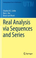 Real Analysis via Sequences and Series