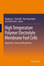 High Temperature Polymer Electrolyte Membrane Fuel Cells