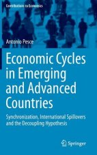 Economic Cycles in Emerging and Advanced Countries
