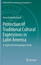 Protection of Traditional Cultural Expressions in Latin America