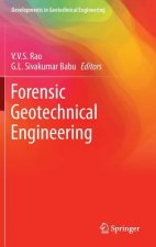 Forensic Geotechnical Engineering