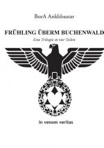 Fruhling uberm Buchenwald