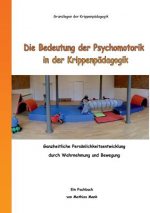 Bedeutung der Psychomotorik in der Krippenpadagogik