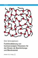 Funktionalisierung von hochverzweigten Polyestern für den Einsatz als Beschichtungs- und Blendmaterial