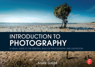 Introduction to Photography