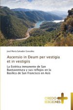 Ascensio in Deum per vestigia et in vestigiis