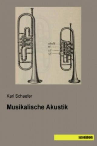 Musikalische Akustik