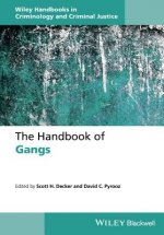 Handbook of Gangs