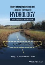 Understanding Mathematical and Statistical Techniques in Hydrology - An Examples-based Approach