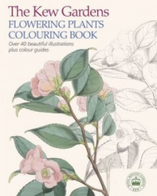 Kew Gardens Flowering Plants Colouring Book