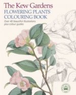 Kew Gardens Flowering Plants Colouring Book