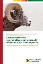 Comportamento reprodutivo com o uso do efeito macho interespecie