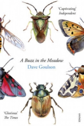 Buzz in the Meadow (Dave Goulson)(Miękka)