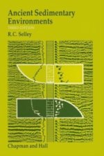 Ancient Sedimentary Environments and their sub-surface diagnosis