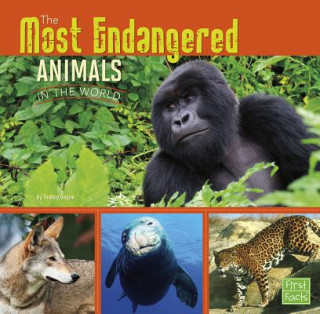 All About Animals: Most Endangered