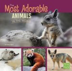 All About Animals: Most Adorable Animals in the World