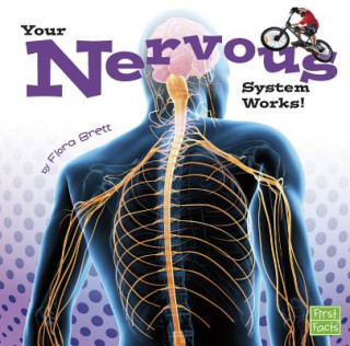 Your Body Systems: Nervous