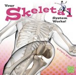 Your Body Systems: Skeletal