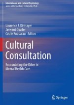 Cultural Consultation
