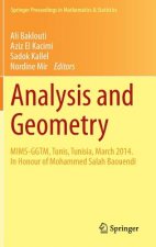 Analysis and Geometry