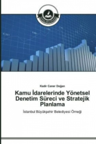 Kamu İdarelerinde Yoenetsel Denetim Sureci ve Stratejik Planlama