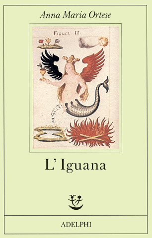 Iguana