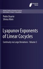 Lyapunov Exponents of Linear  Cocycles