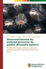 Desenvolvimento do sistema sensorial do jundia (Rhamdia quelen)