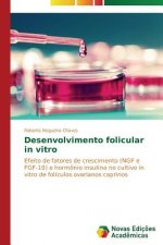 Desenvolvimento folicular in vitro