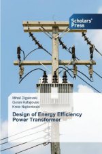 Design of Energy Efficiency Power Transformer