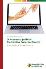 O Processo Judicial Eletronico Face ao Direito