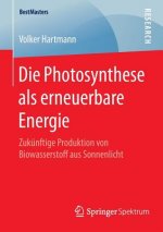 Die Photosynthese ALS Erneuerbare Energie