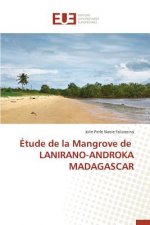 tude de la Mangrove de Lanirano-Androka Madagascar